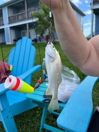 Pretty much shows what we caught on this trip. The small stuff. But it was a lot of fun.