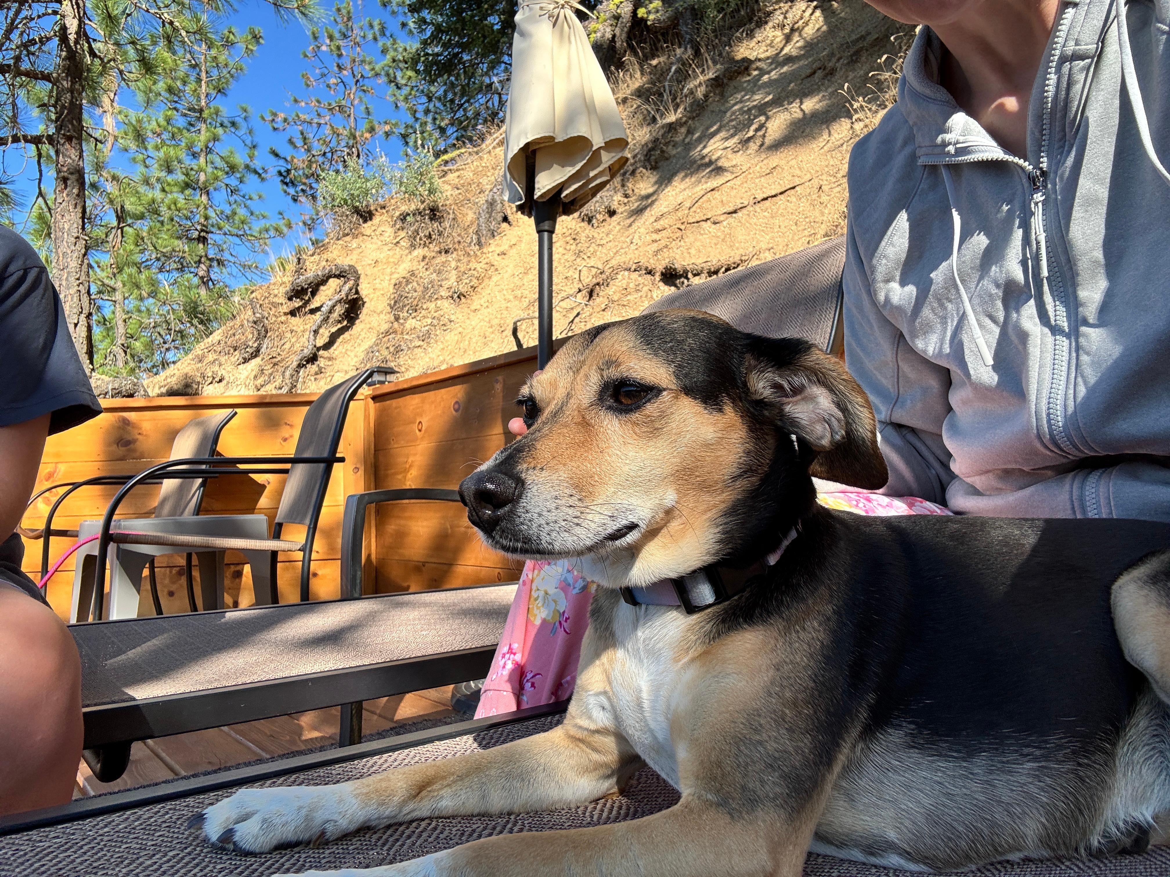 Relaxing with the pup! 