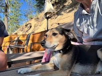 Relaxing with the pup!