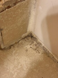 Dirt and trash in bedroom