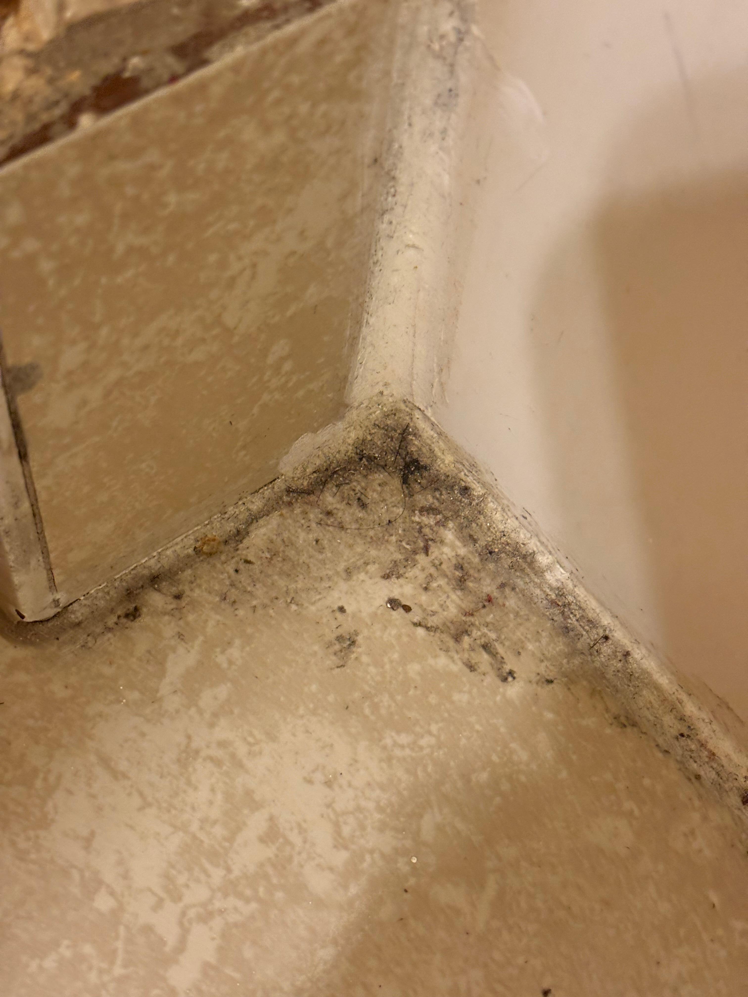 Dirt and trash in bedroom 