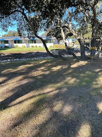 Walking path around property, ducks visit a small pond.