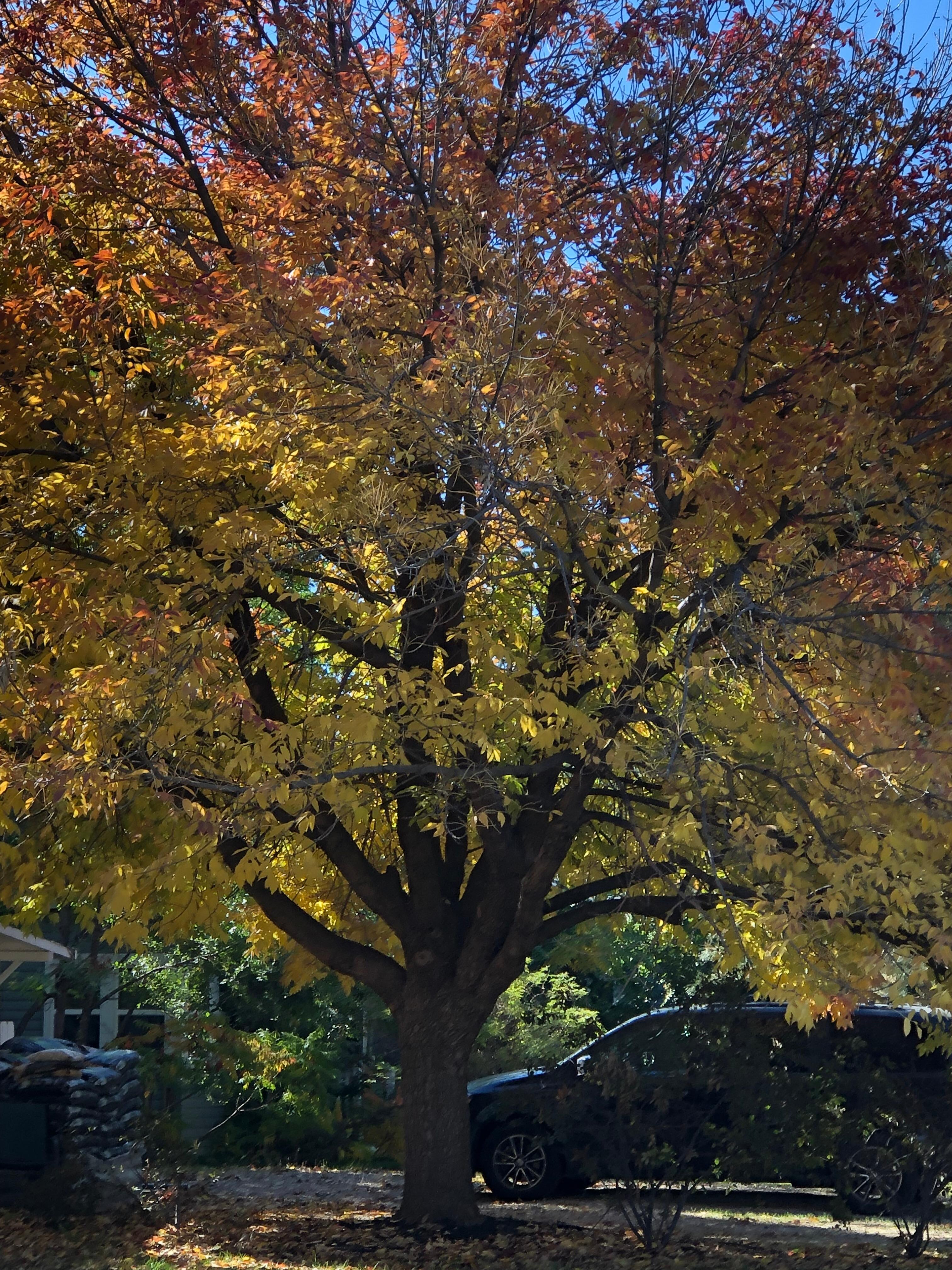 Beautiful time of year to visit