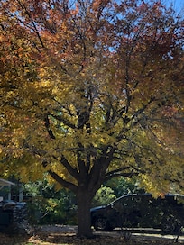 Beautiful time of year to visit