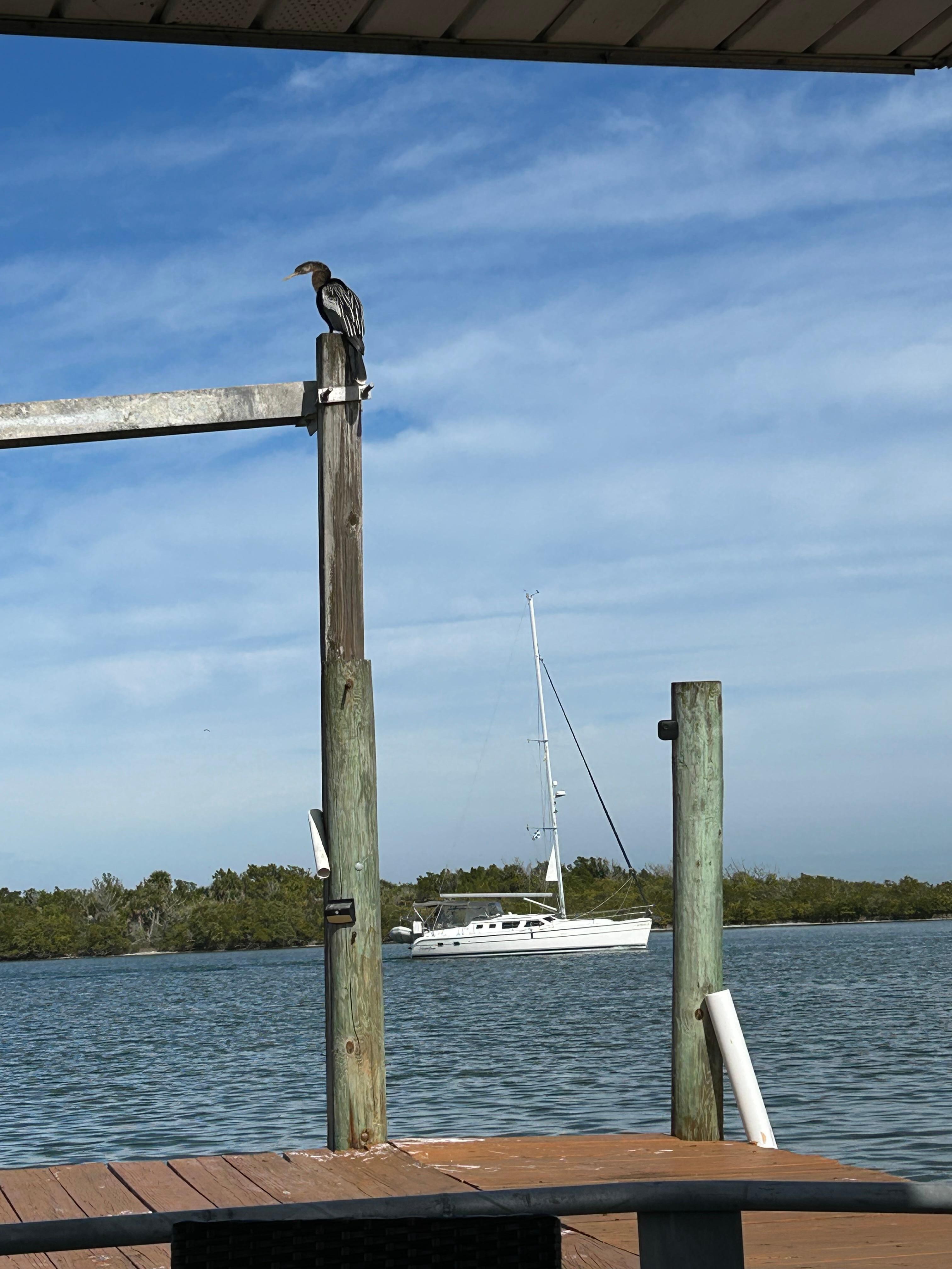 Looking out the patio