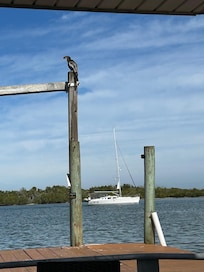 Looking out the patio