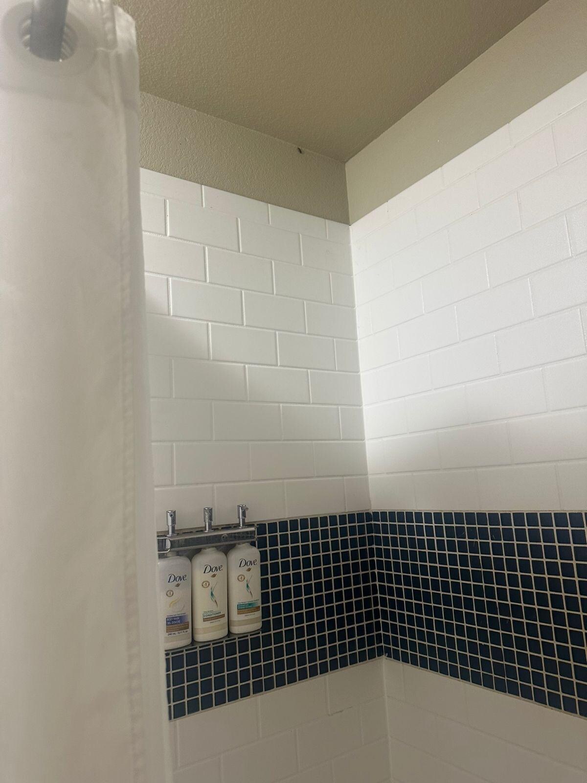 Cucaracha en el baño 