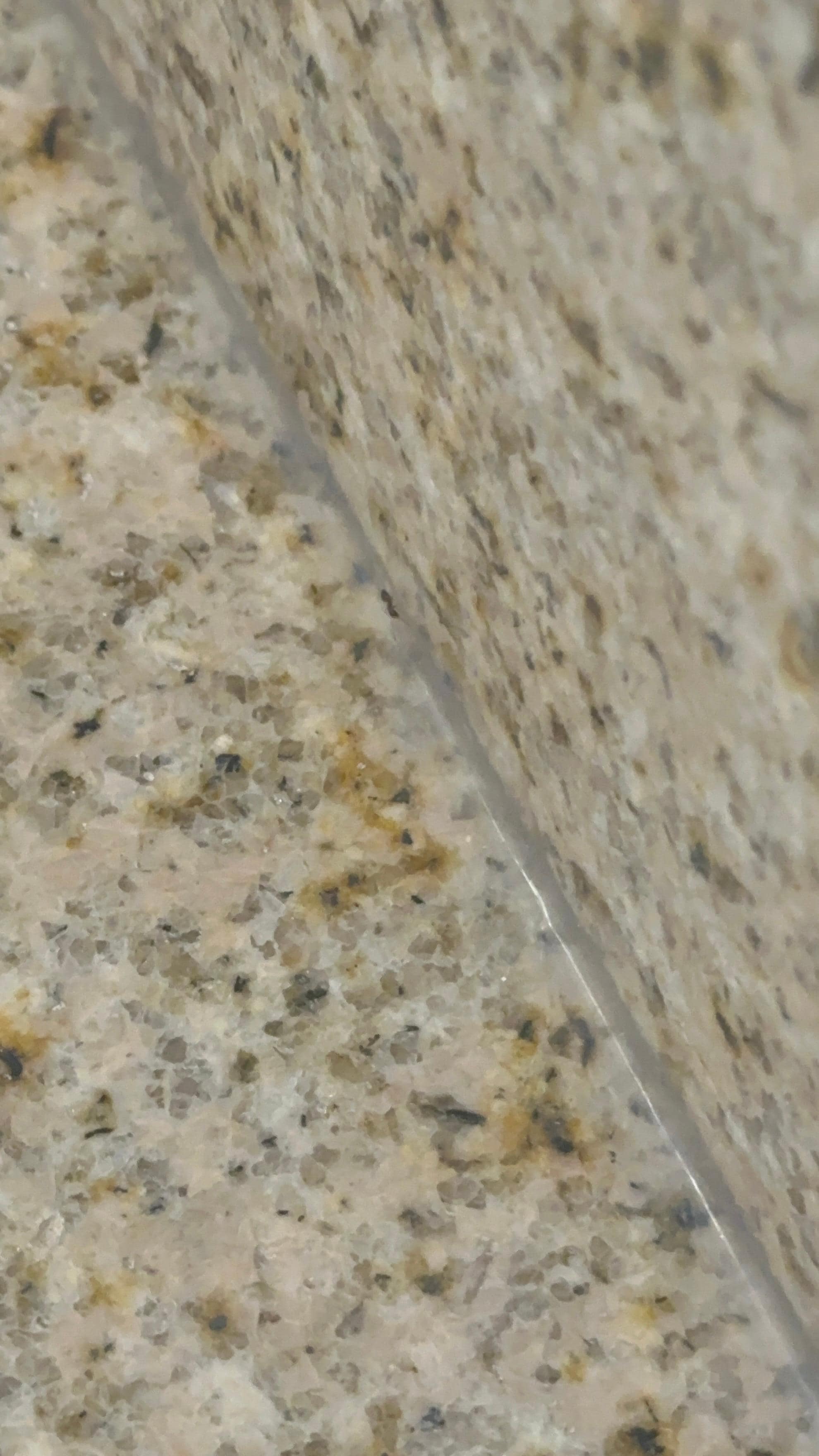 It’s there a small insect as well