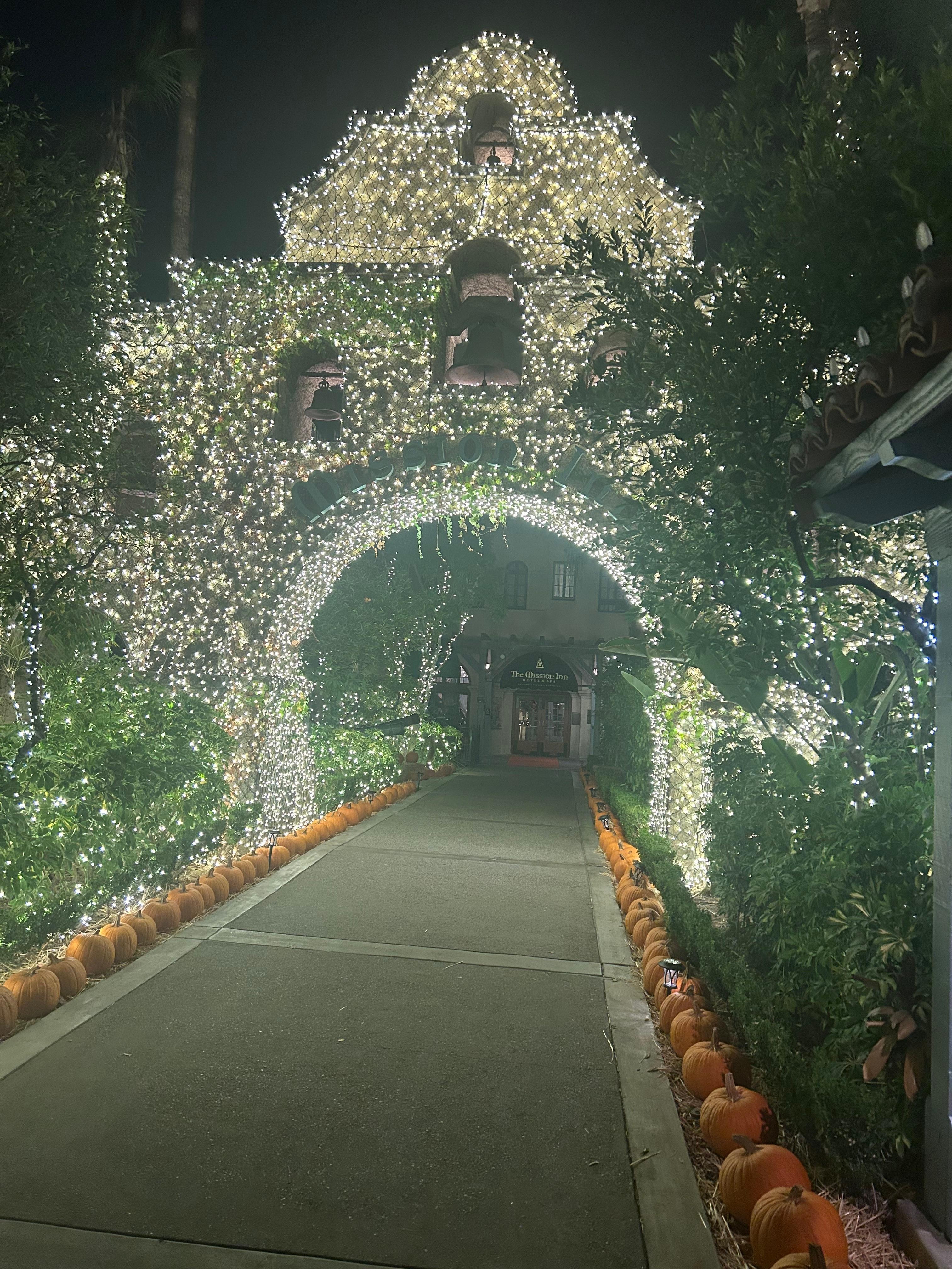 Lit up for the holidays!