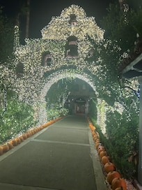 Lit up for the holidays!