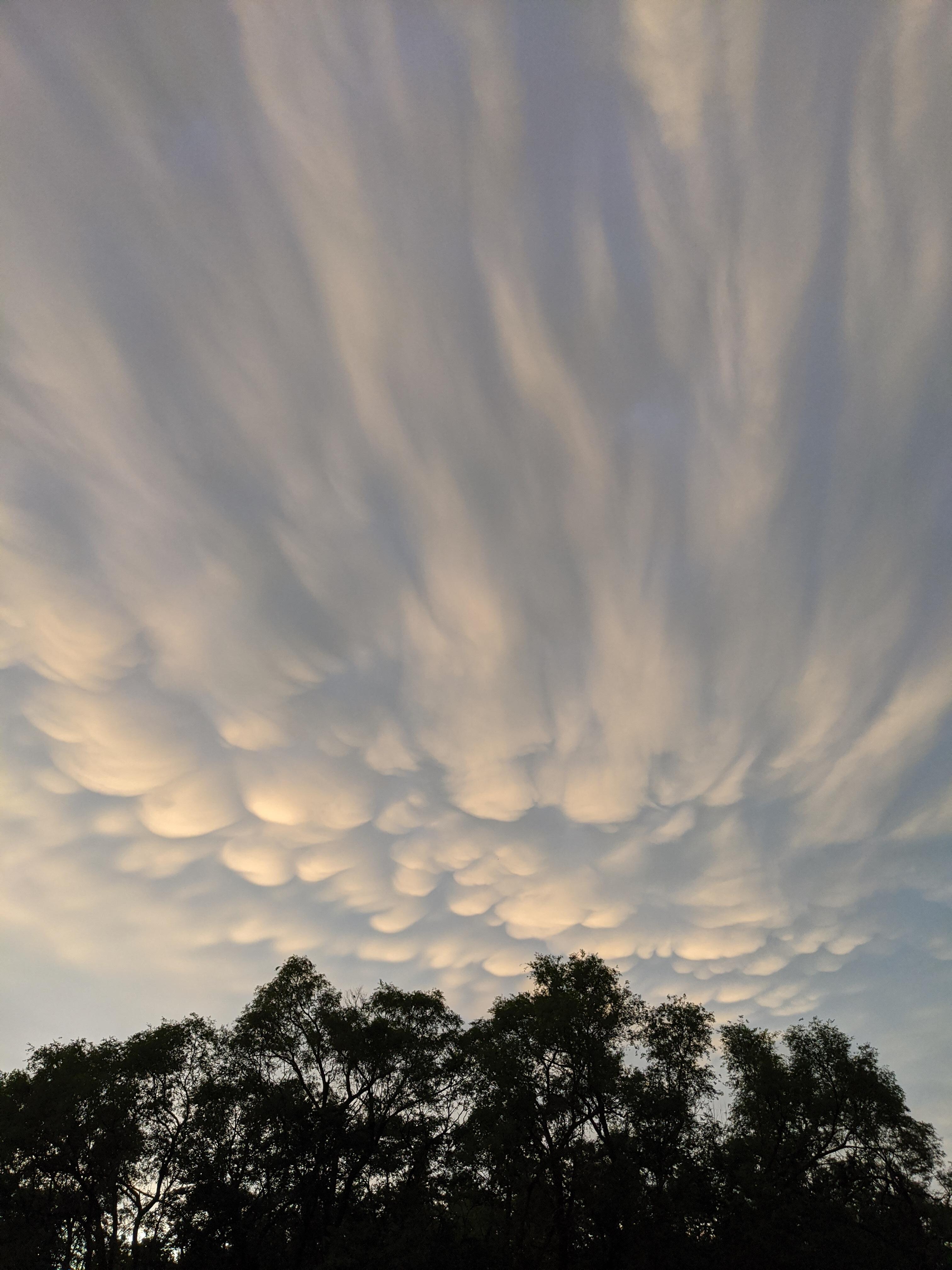Cool Skies 