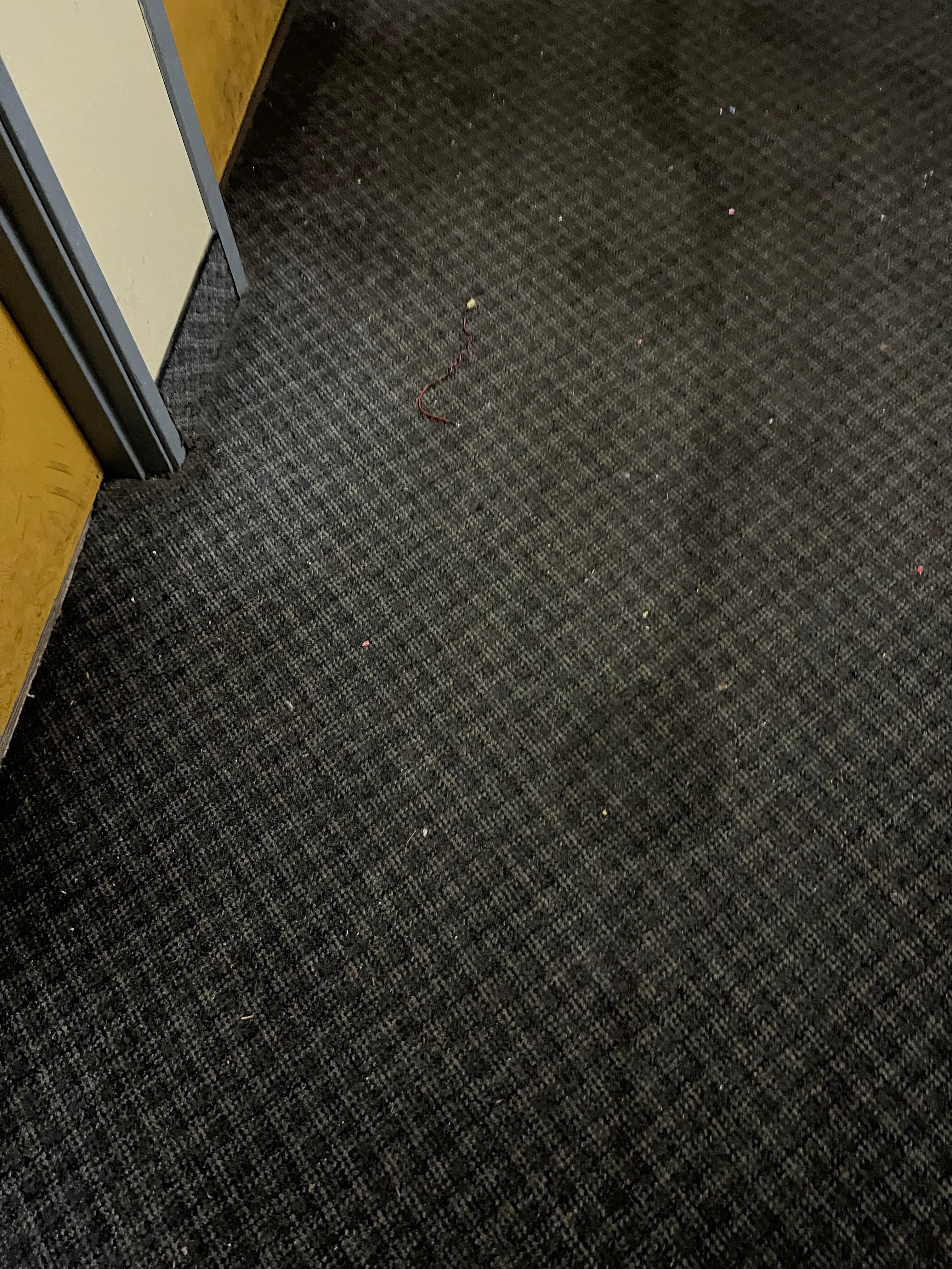 Trash in front of the room door