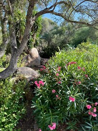 Lovely landscaping