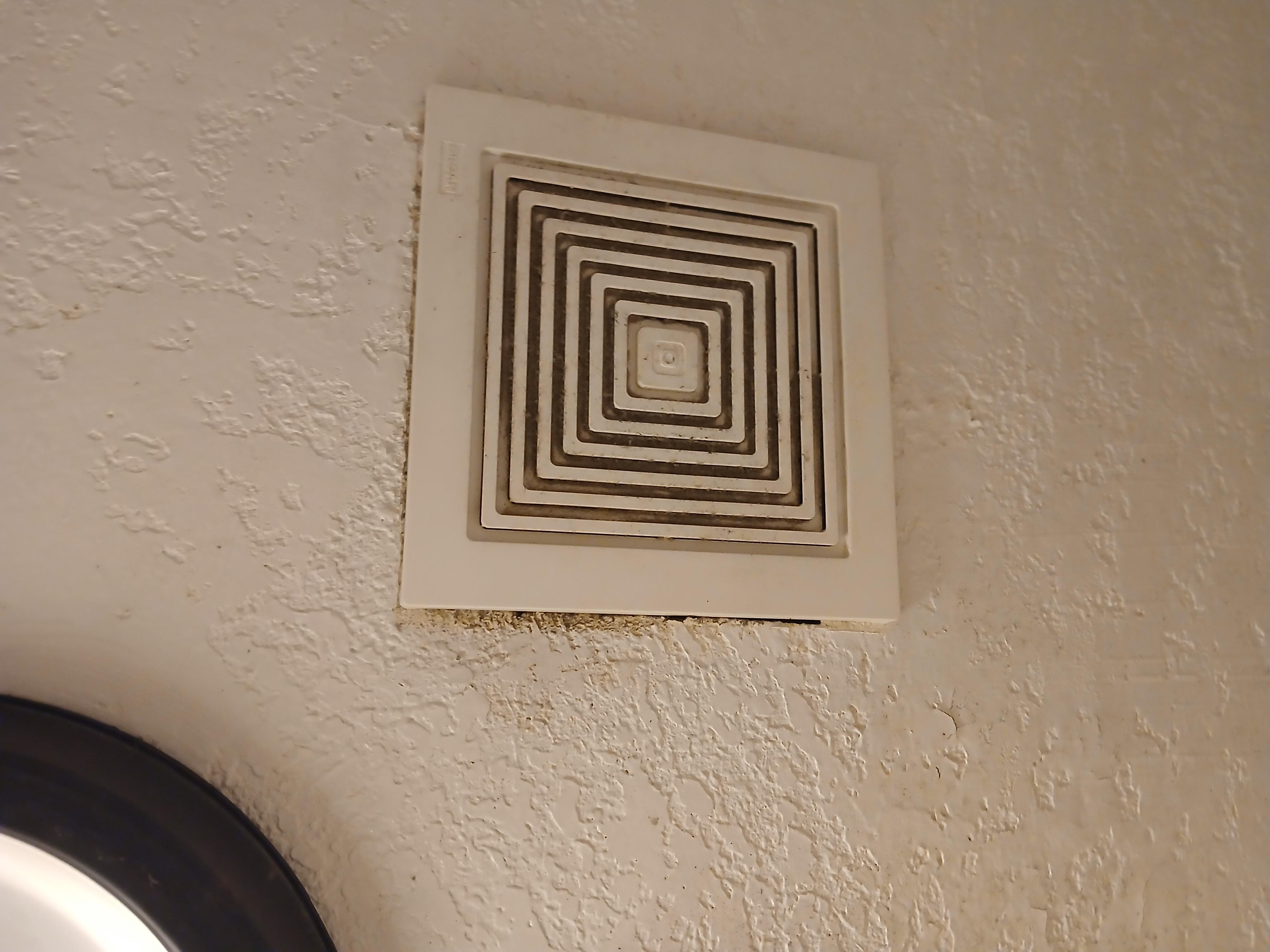 Mold in the restroom vent