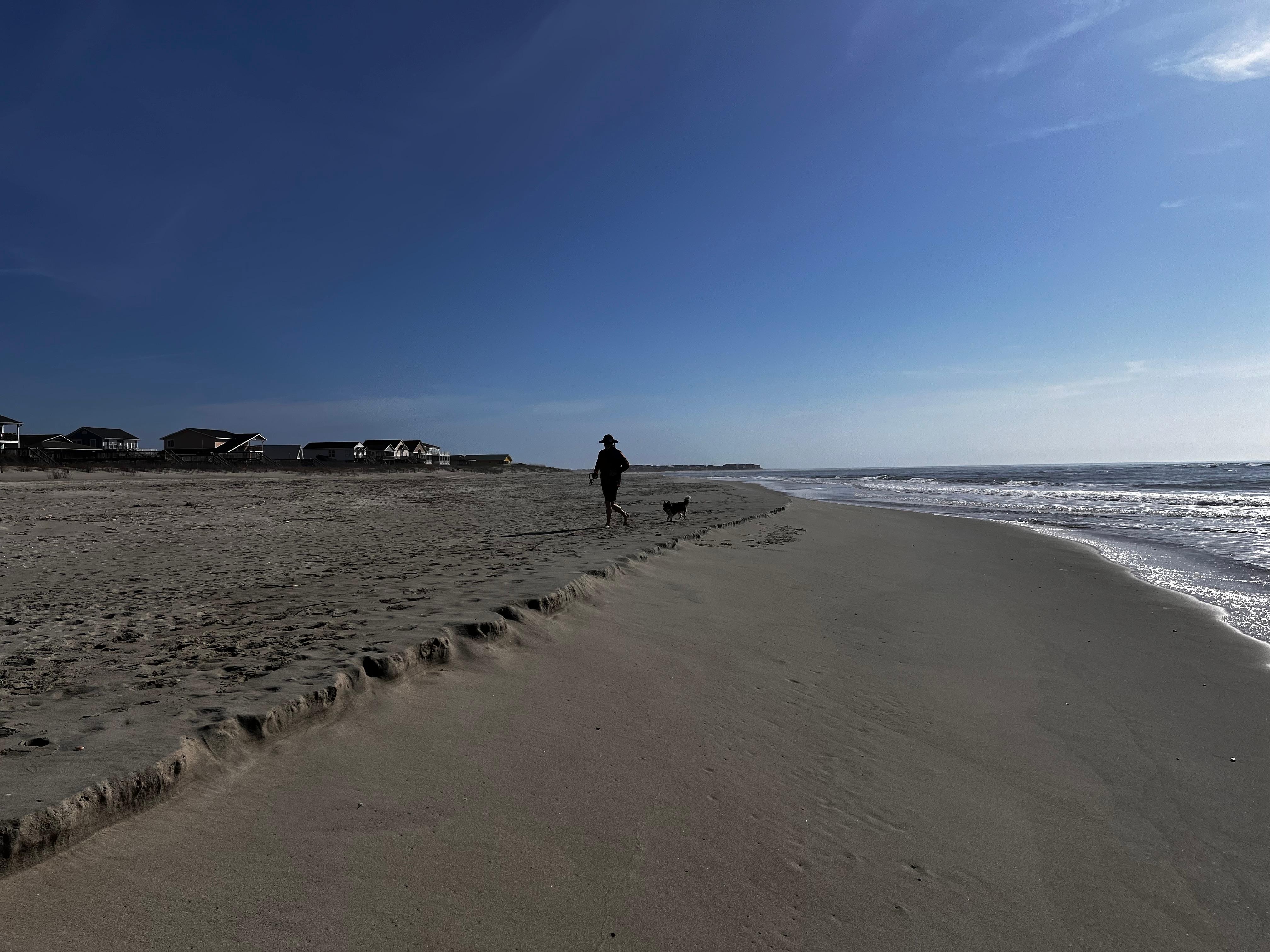 Loving long walks with our pup