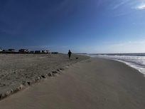 Loving long walks with our pup