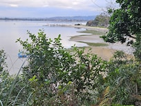 Walk around the point