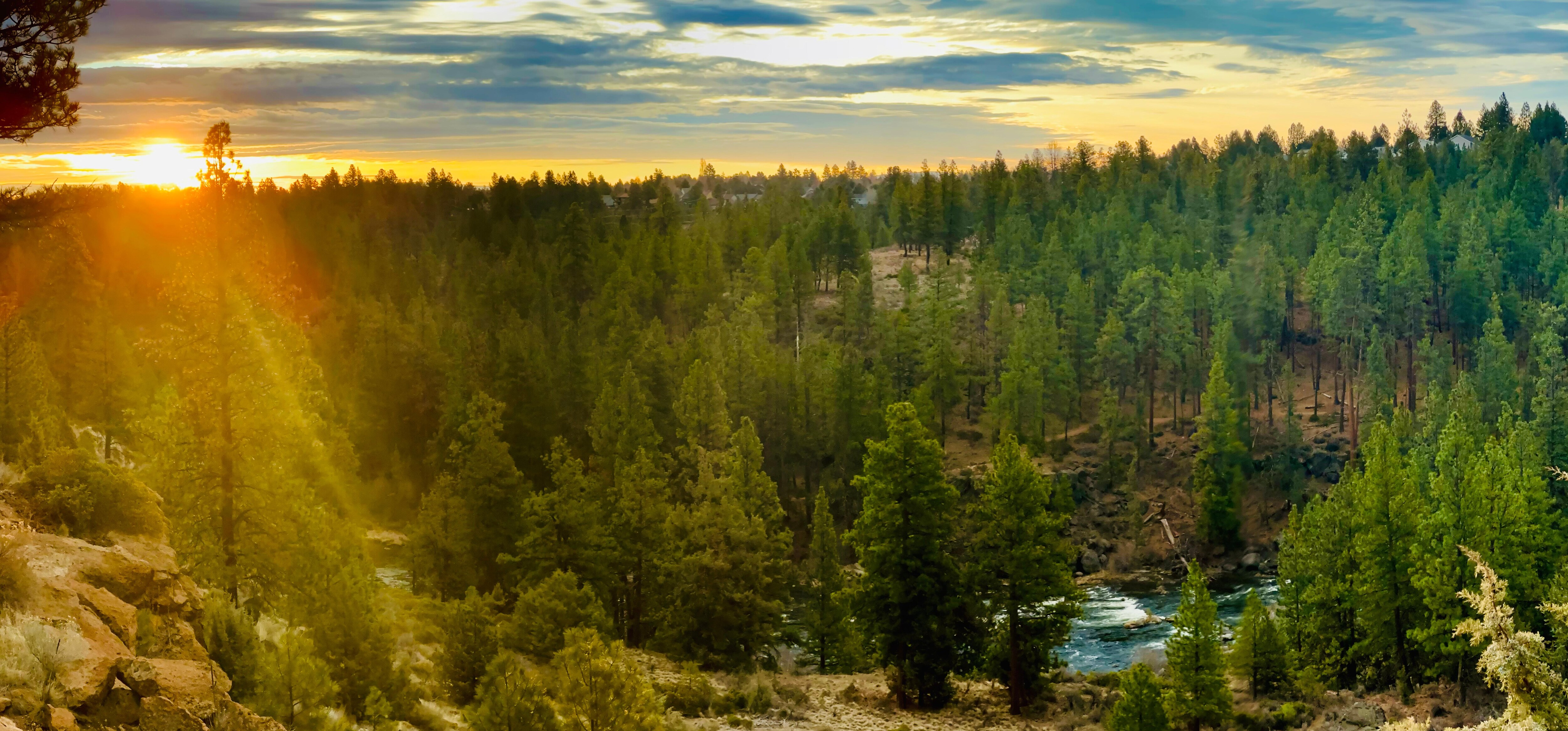 View off of the back deck. 