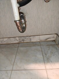 Under bathroom sink