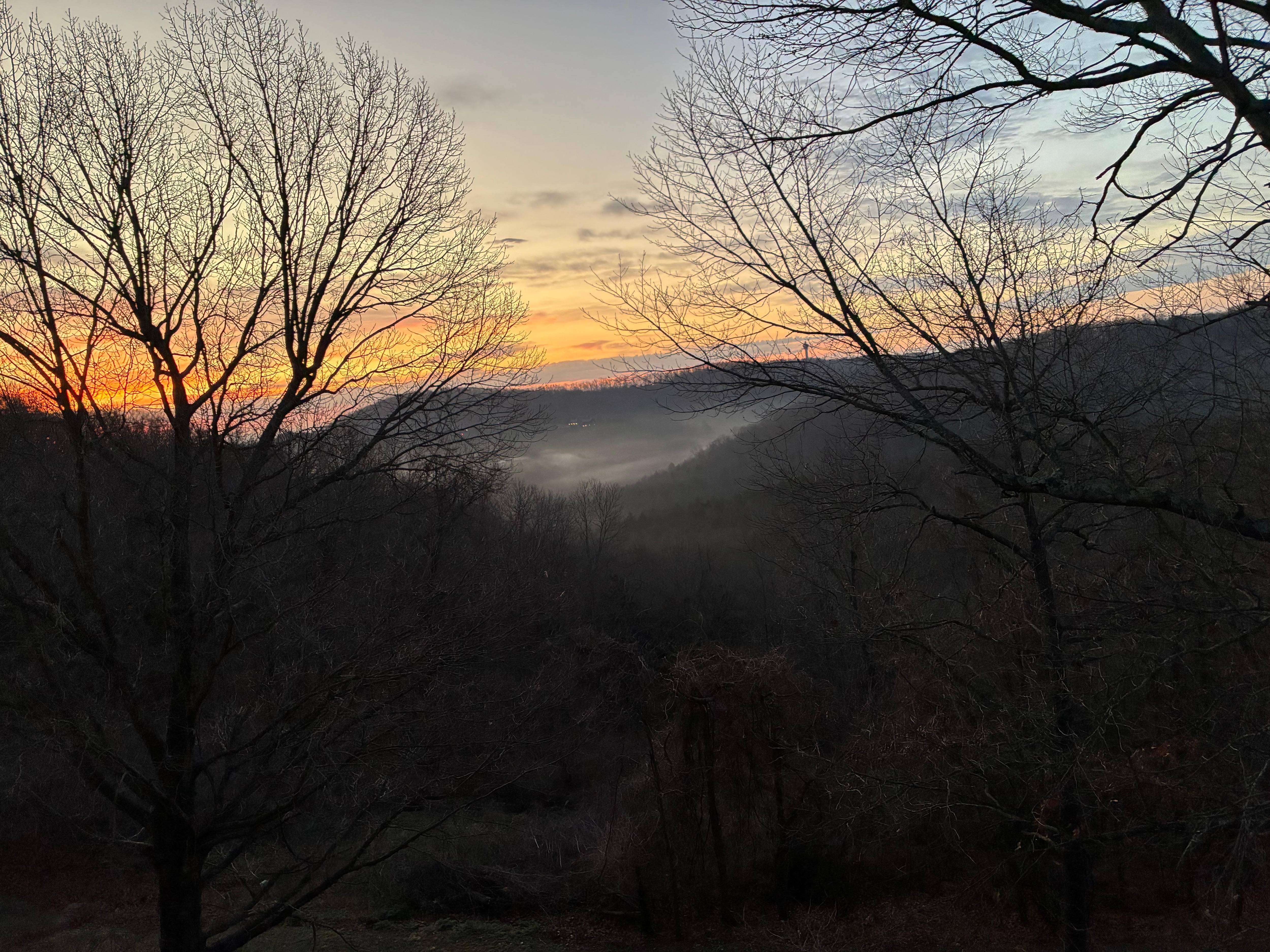 Back porch views- so many different types of birds 