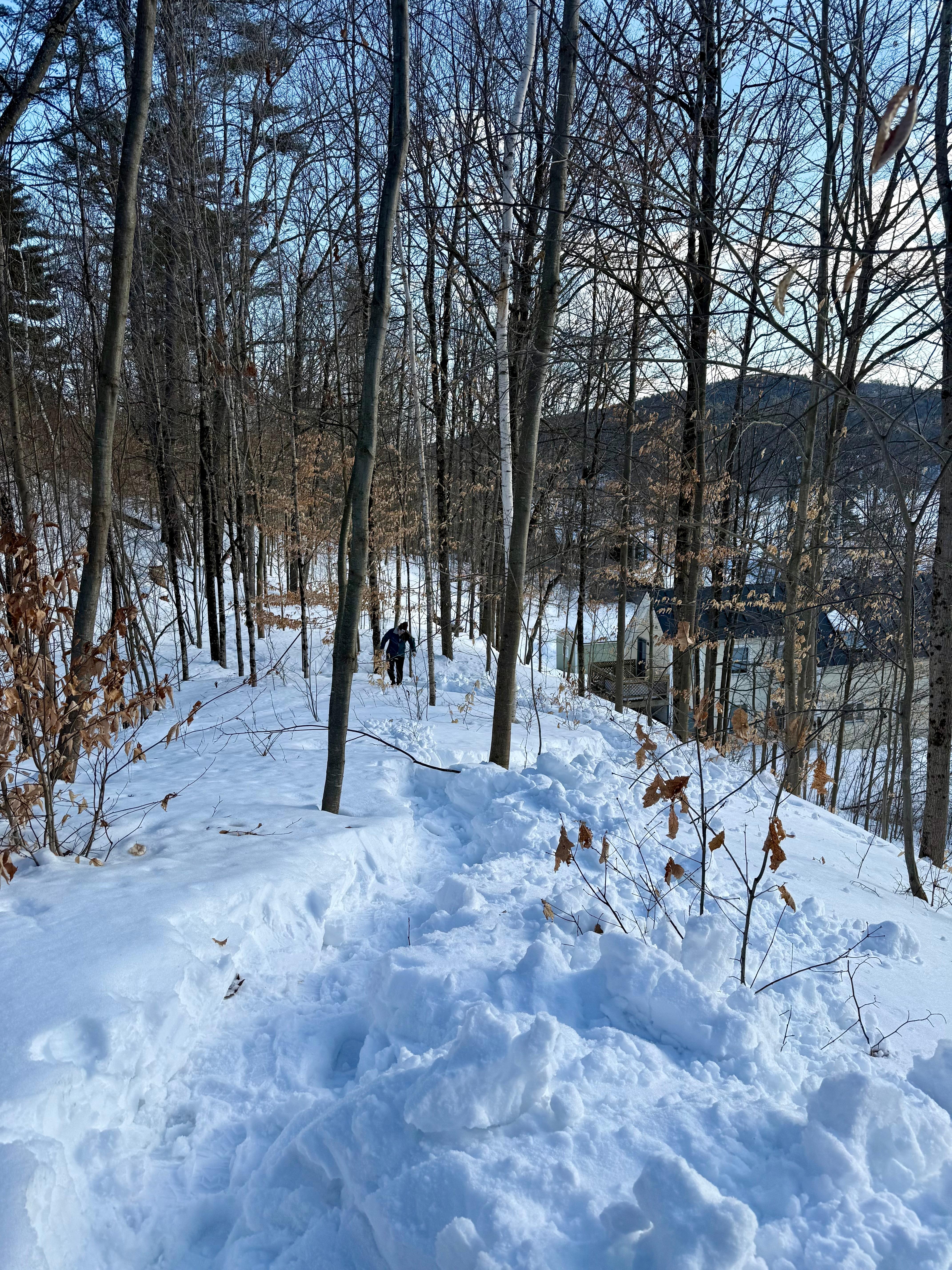 Path to Smiling Moose