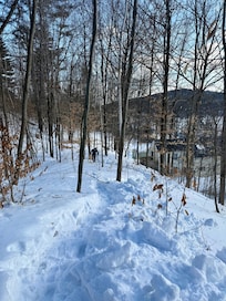 Path to Smiling Moose