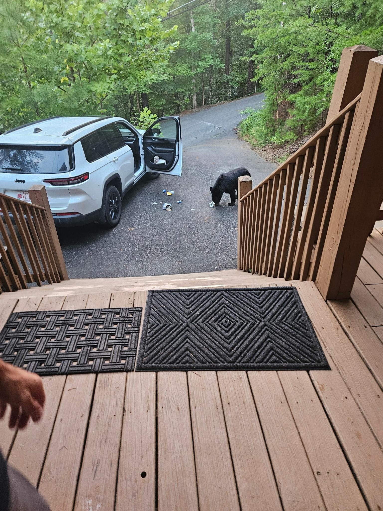 We arrived and didn't lock the car when we first arrived.  Before we could unload the car, the neighborhood BOO BOO the Bear decided to have a snack.  Fortunately no damage to the car!
