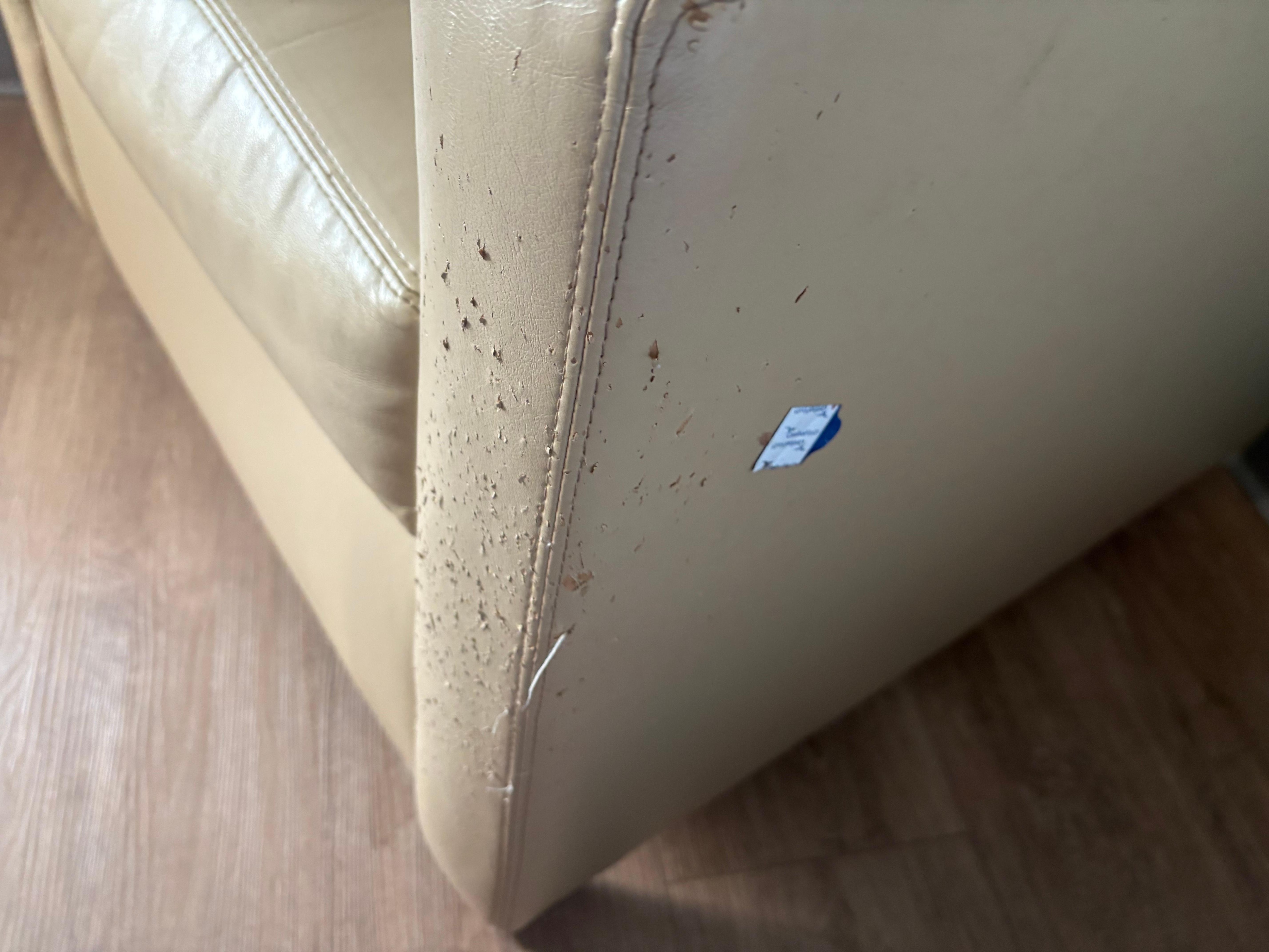 Chair clawed up by some animal