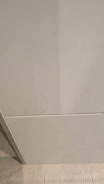 Haare vom Vorgänger