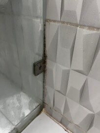 Moldy bathroom