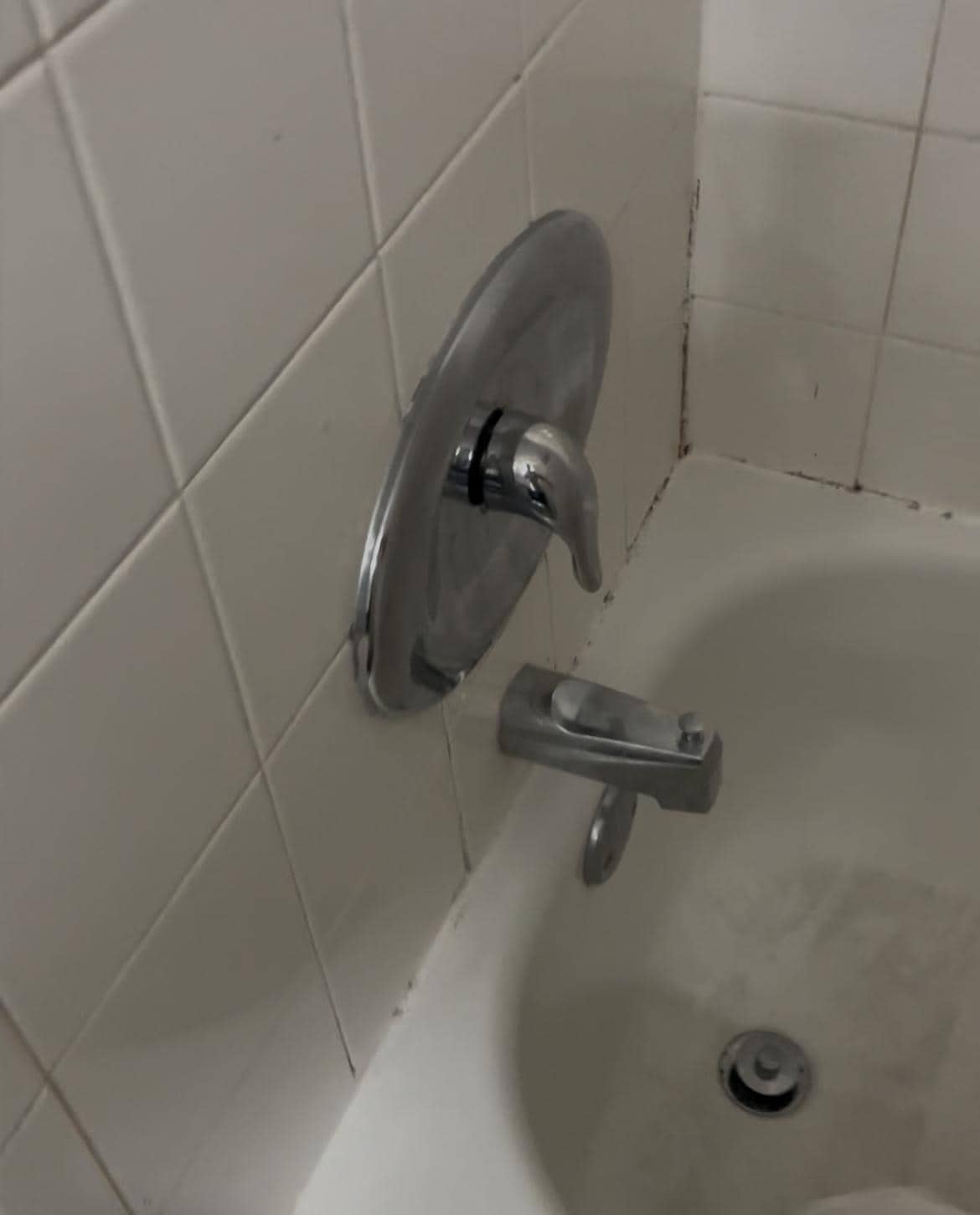 The whole tub was covered in black mold