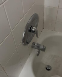 The whole tub was covered in black mold