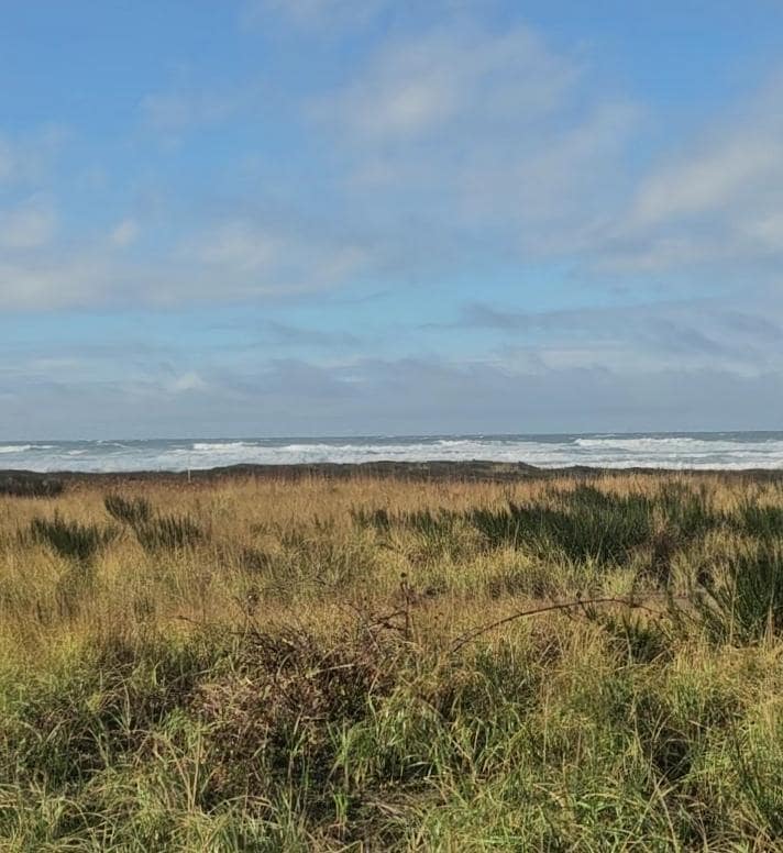 View from house, its closer than the photo looks. 