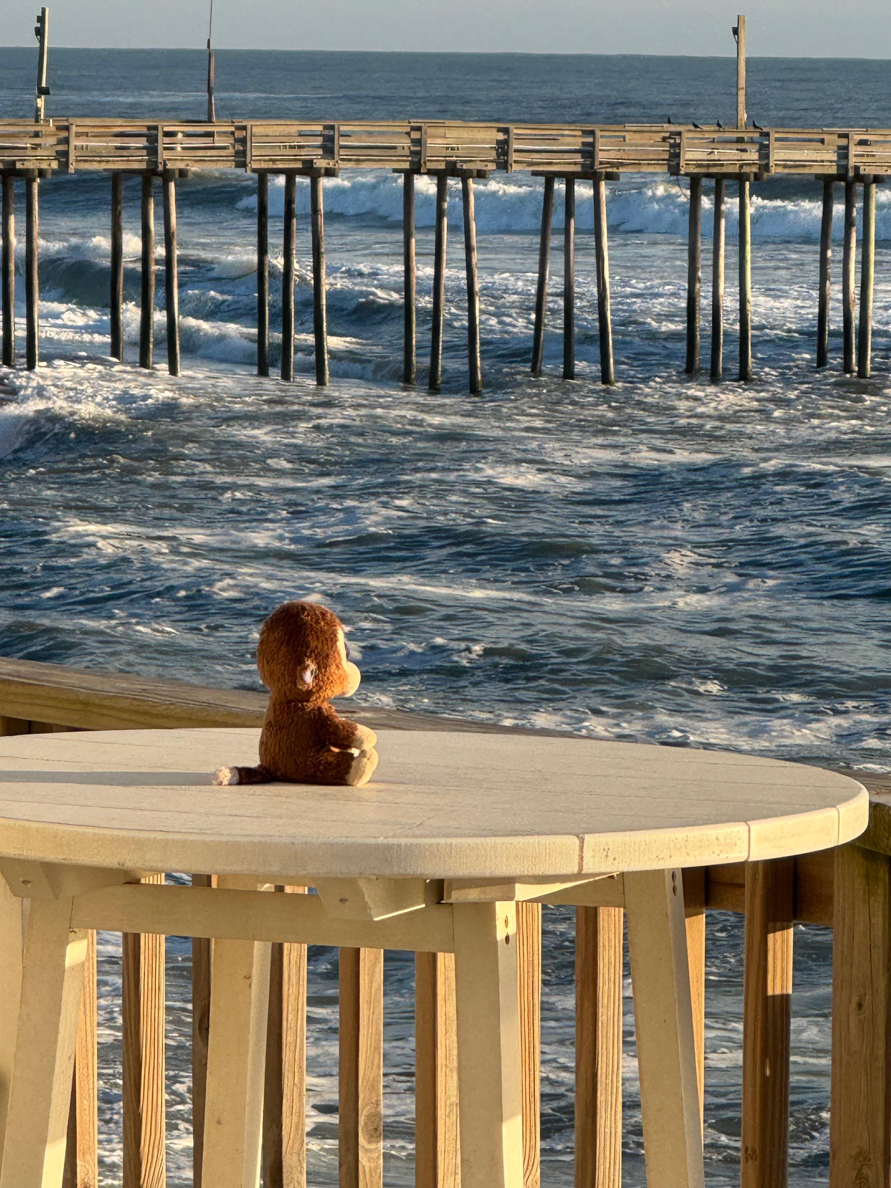 View of the pier from the deck