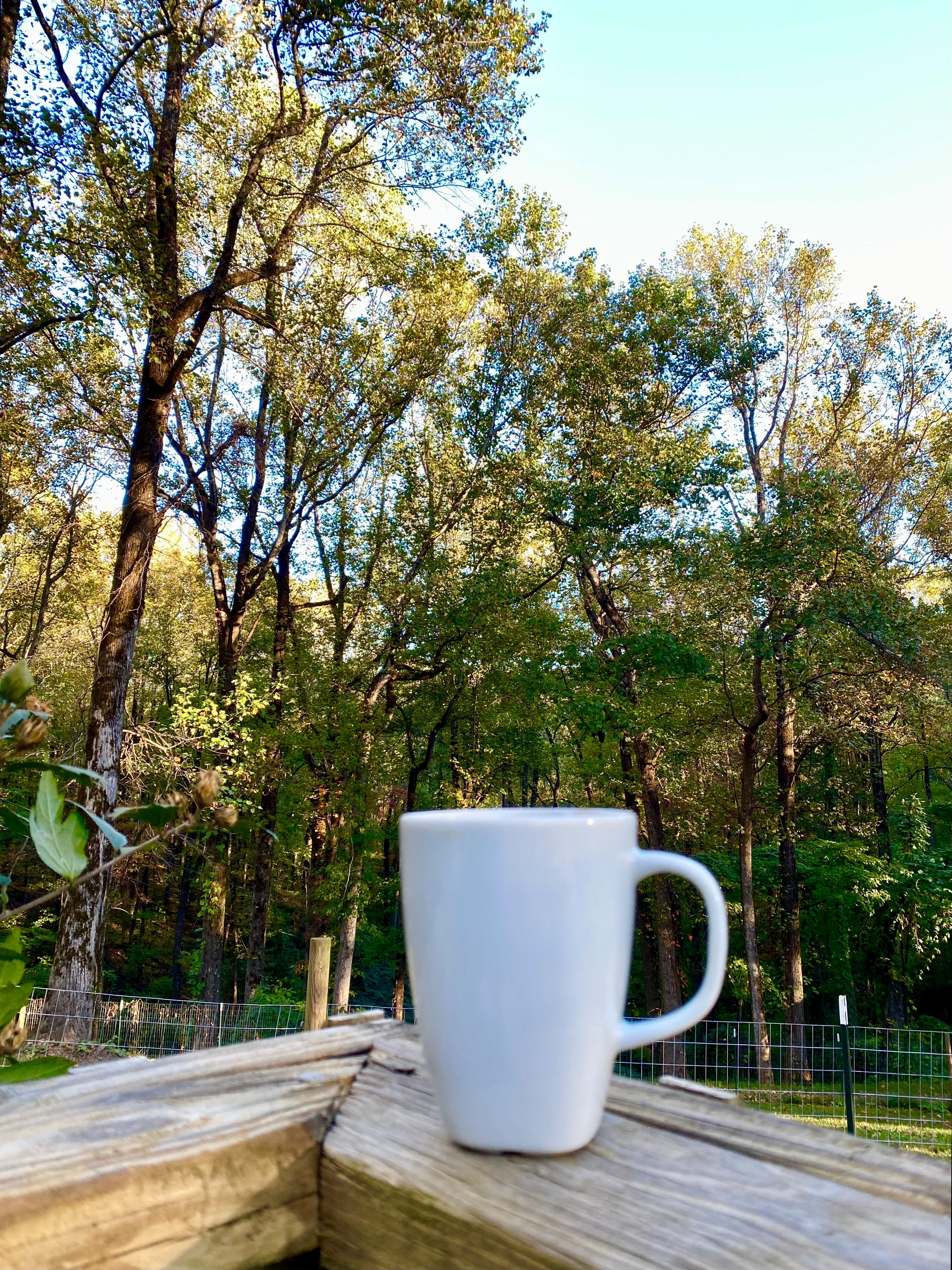Morning ritual: make a cup of coffee and head right outside