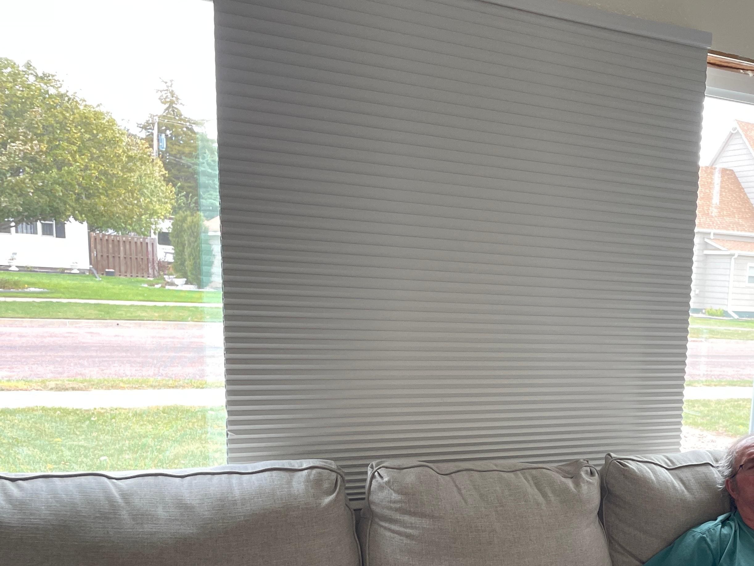 Living room window facing road