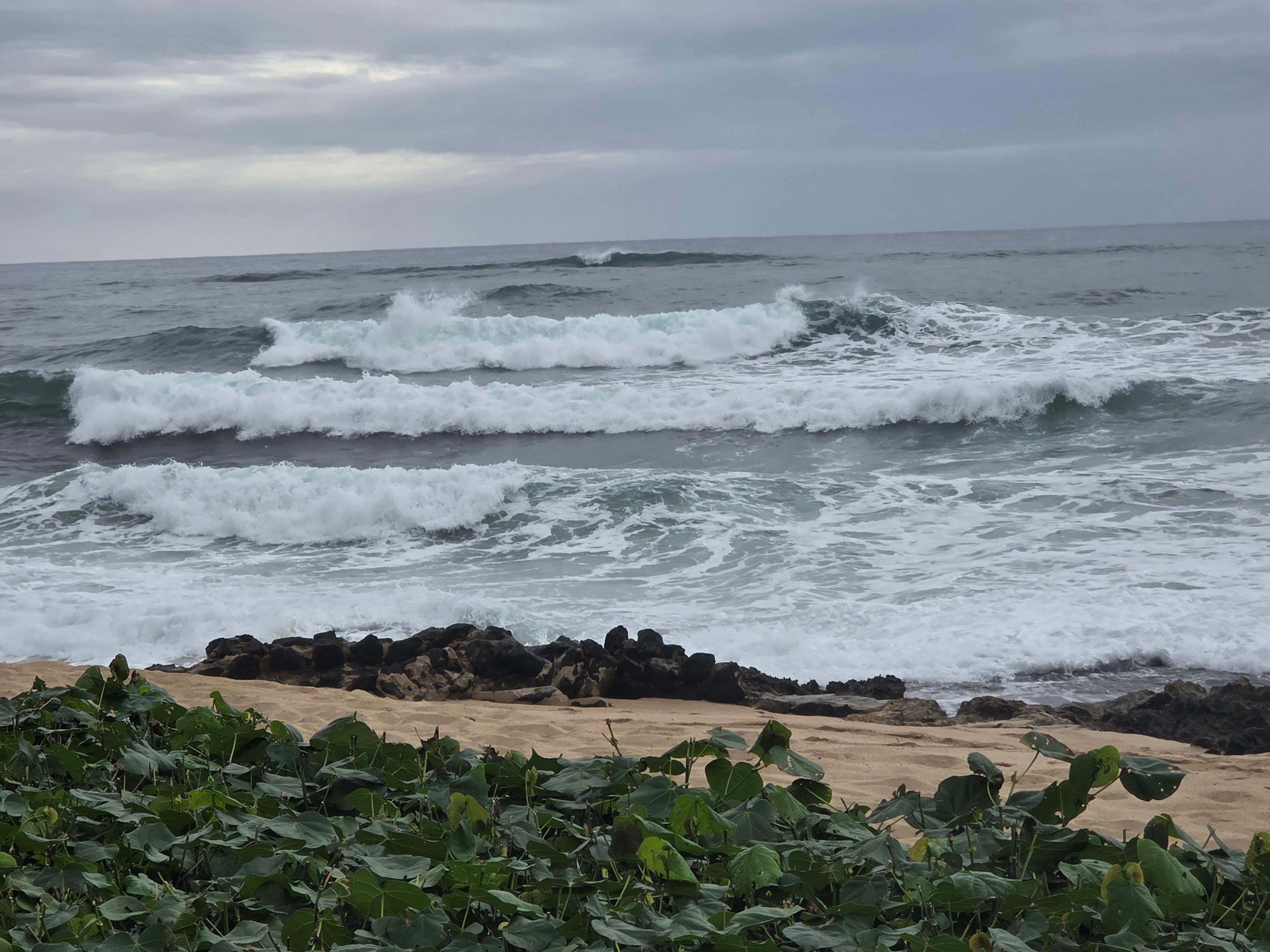 View from back yard to the ocean.