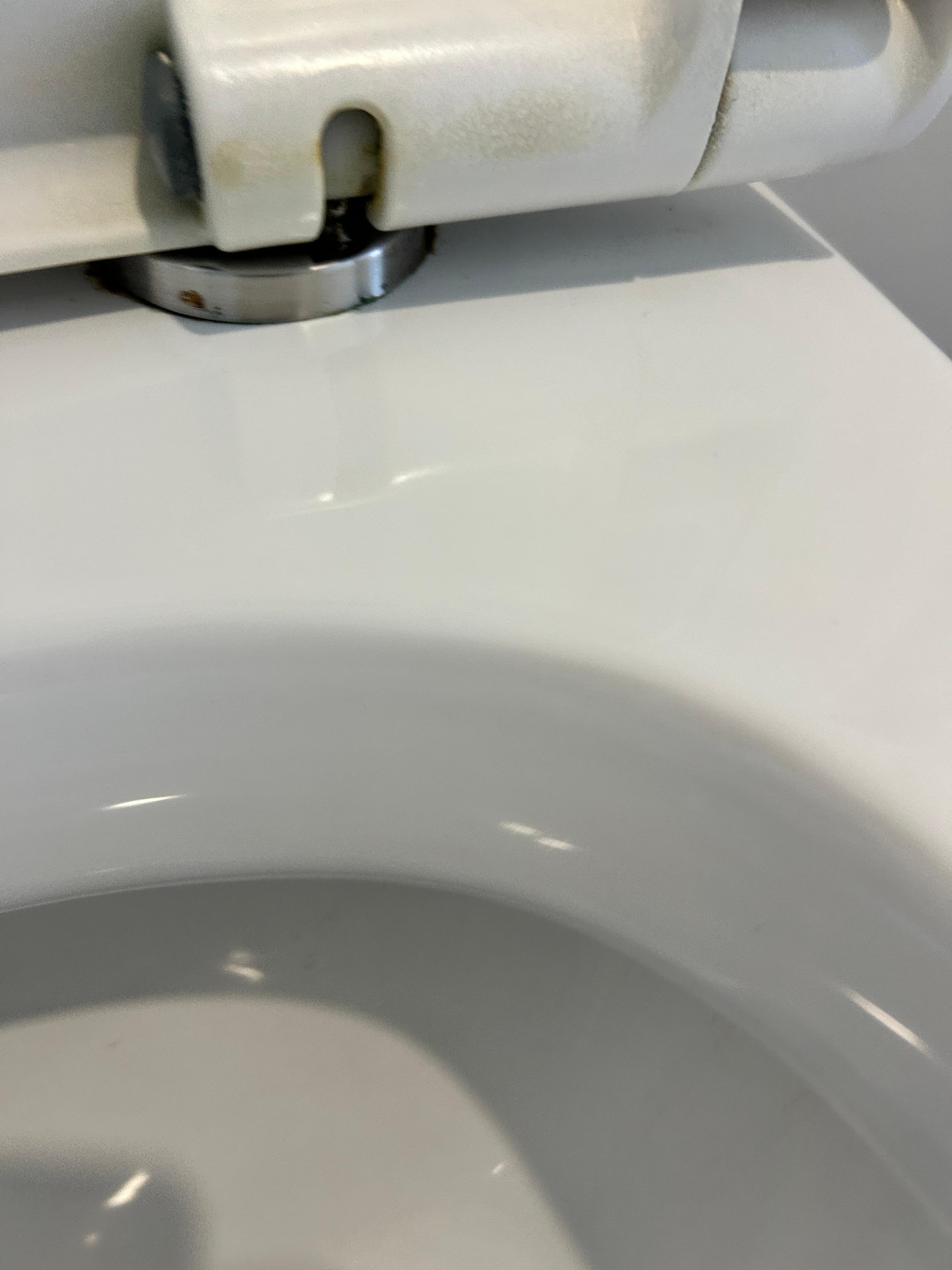 Mouldy dirty toilet seat