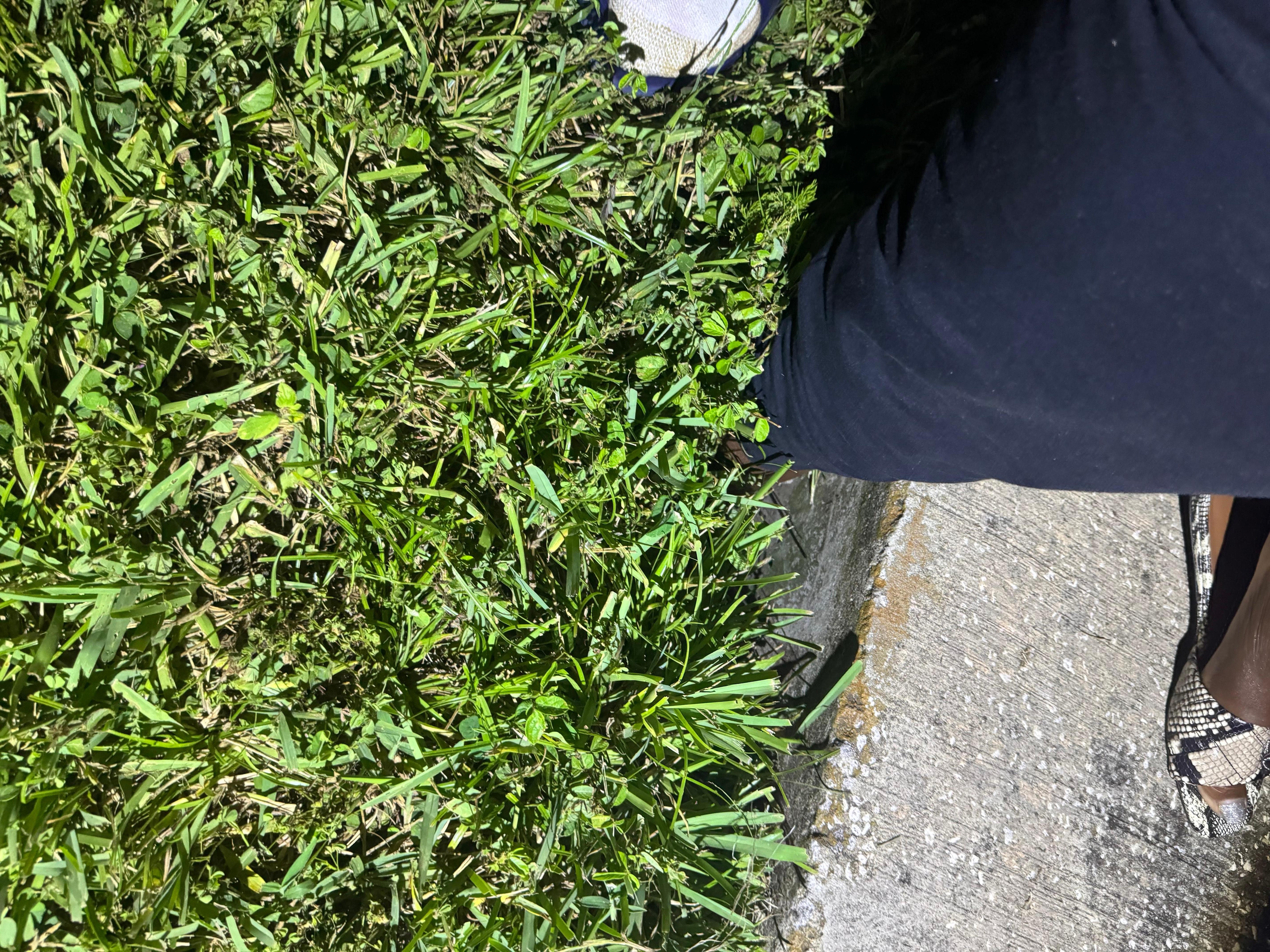 Hole in yard displaying  depth