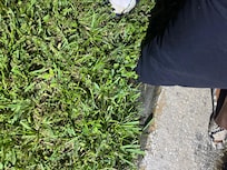 Hole in yard displaying depth