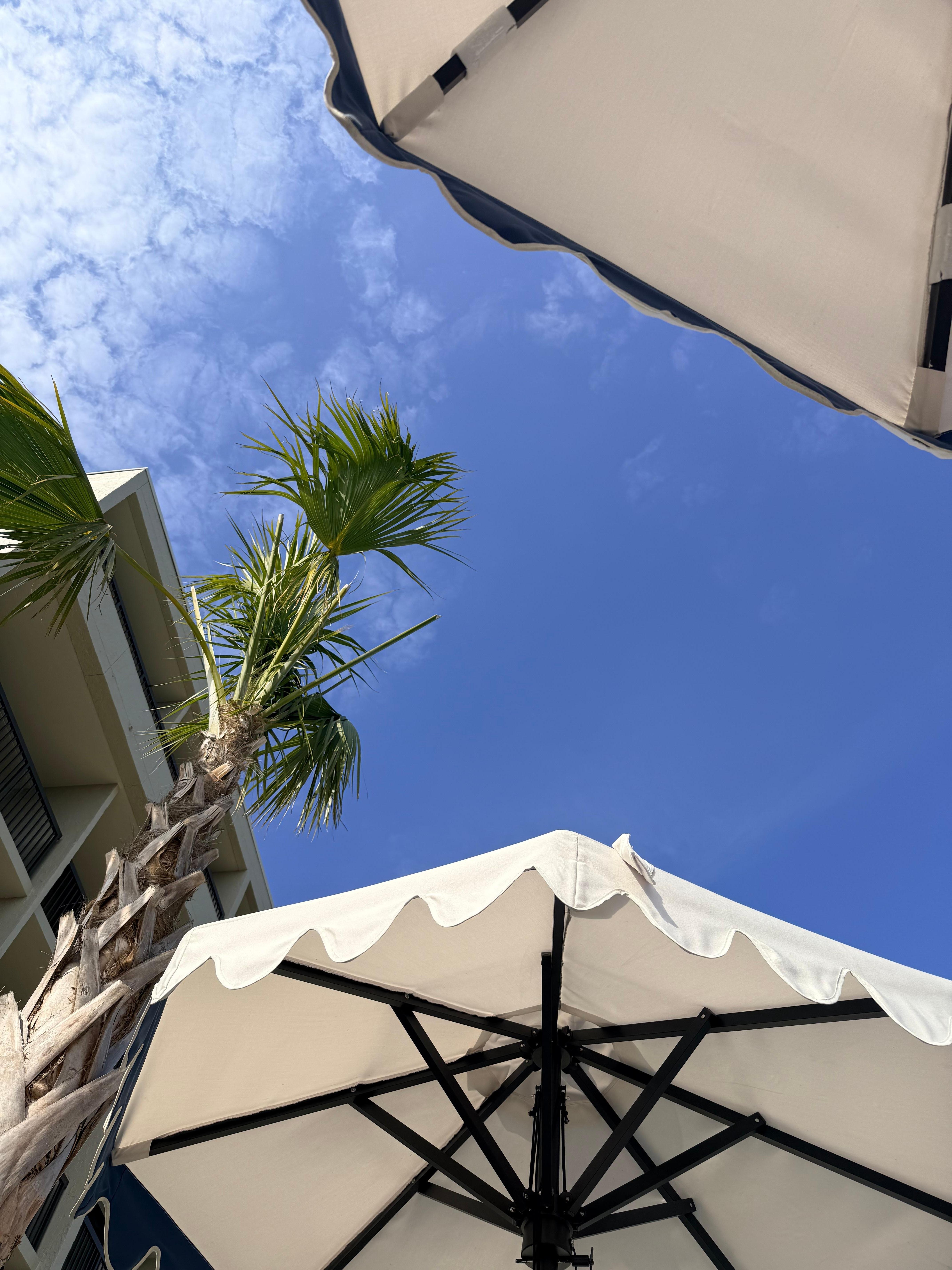 View from the comfy chairs at poolside 