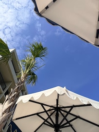 View from the comfy chairs at poolside