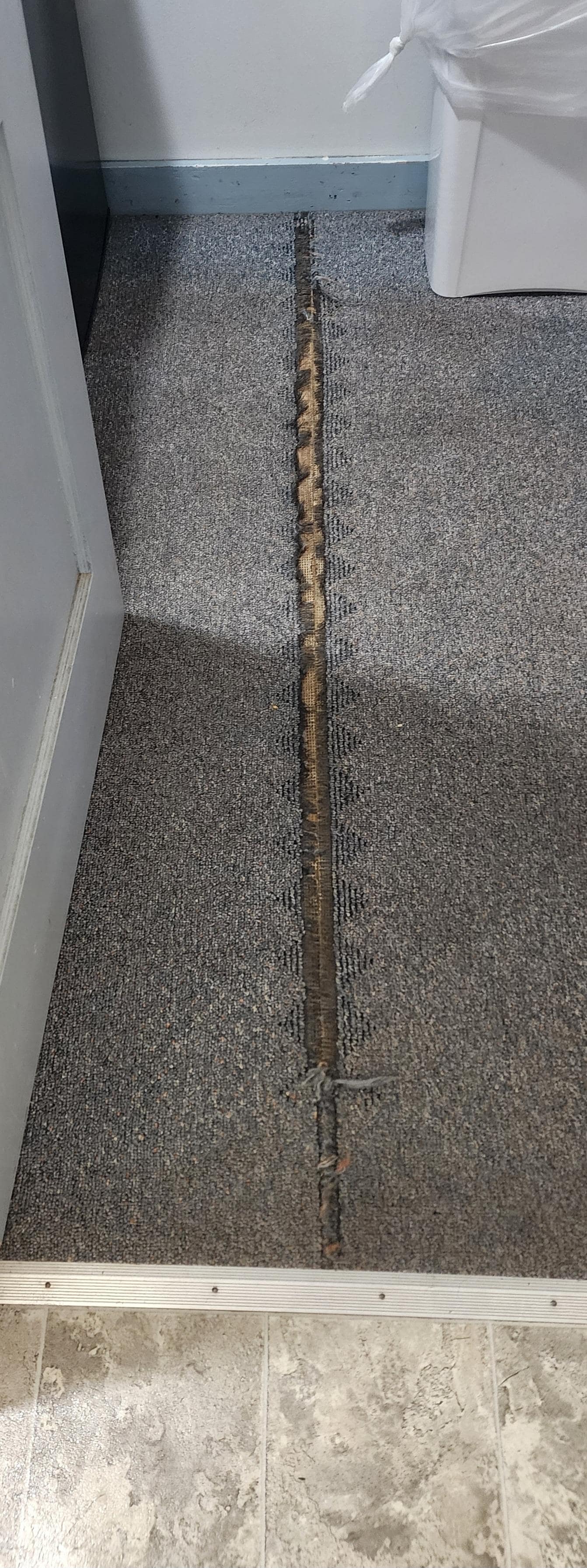 The carpet was torn. 