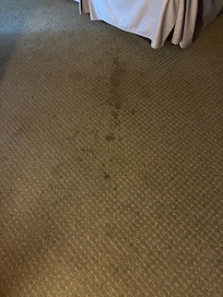 Who knows what created this stain on the rug.