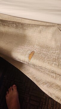 One of many questionable stains on the bed.