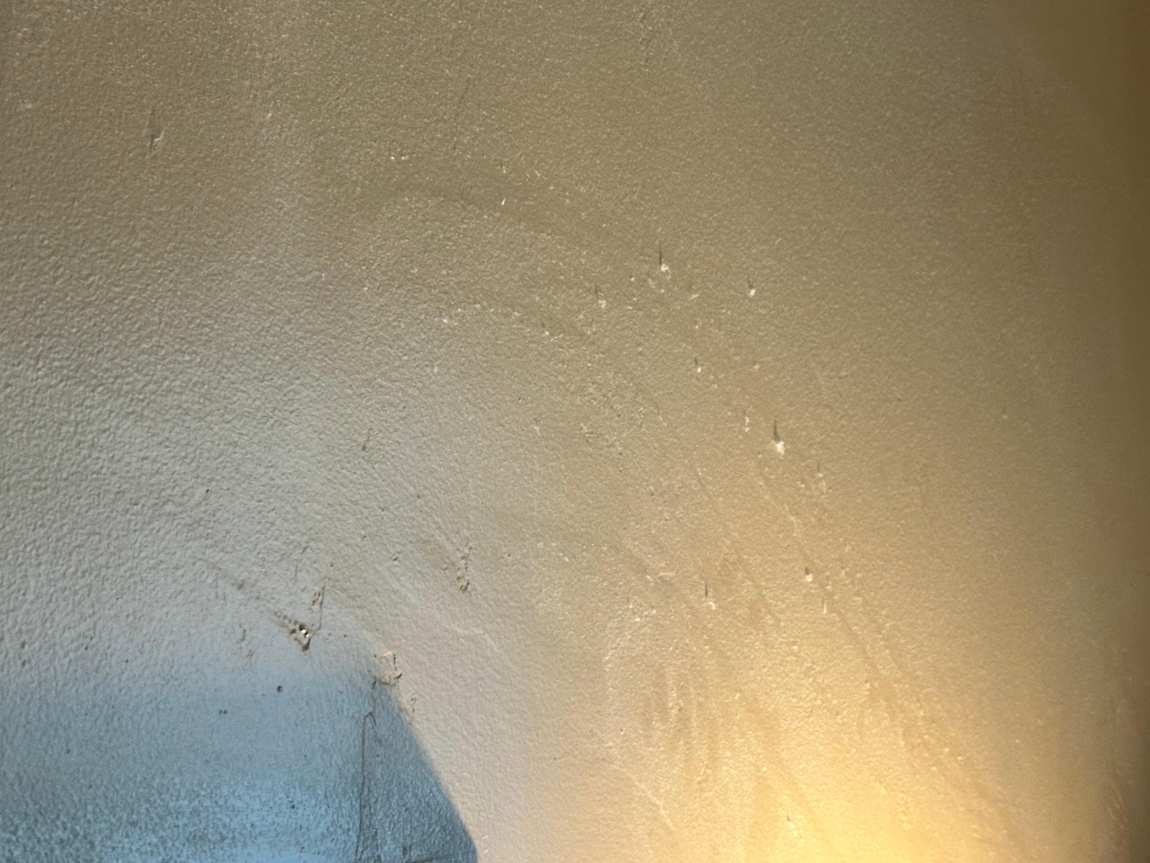Months of not being cleaned…
