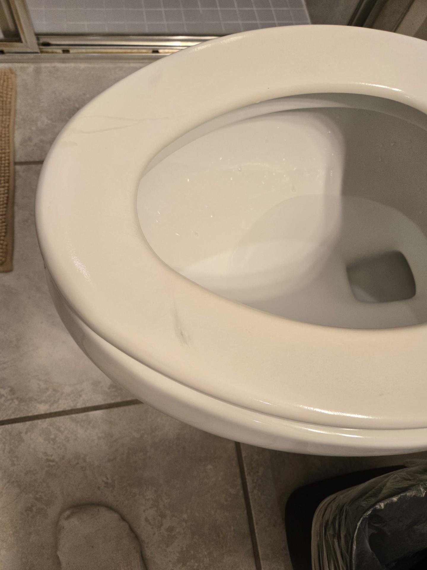 Something on the toilet seat?  Another Toilet seat needs to be replaced.