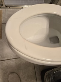 Something on the toilet seat?  Another Toilet seat needs to be replaced.