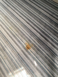 Stained carpet