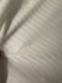 Found 8 of these